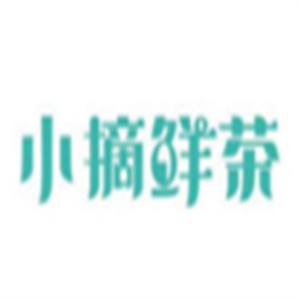 小摘鲜茶