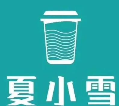 夏小雪奶茶