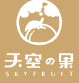 天空之果品牌logo