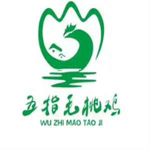 五指毛桃香鸡