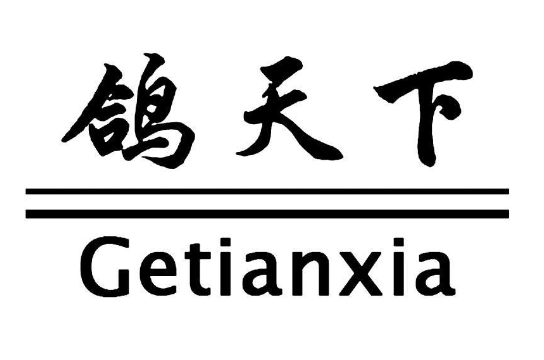 鸽天下