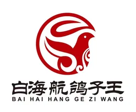 白海航鸽子王