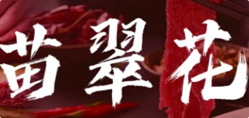 苗翠花凯里酸汤牛肉火锅