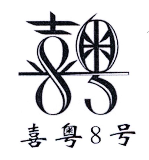 喜粤8号