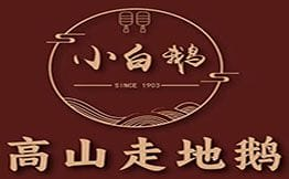 小白鹅火焰焖锅