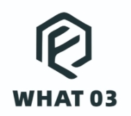 What-03