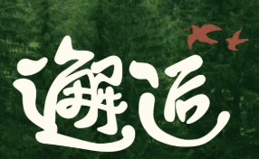 邂逅酸菜小鱼