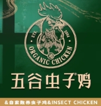 五谷虫子鸡