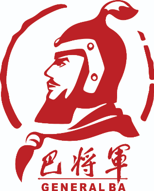 巴将军