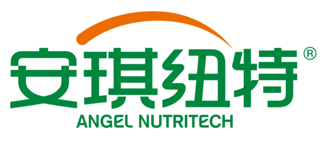 安琪纽特营养健康品