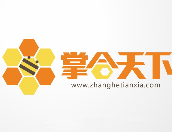 掌合天下