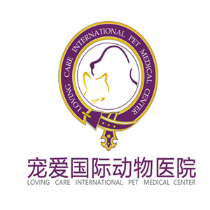 宠爱国际动物护理