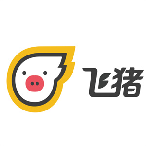 飞猪专车司机