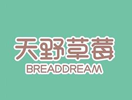 天野草莓蛋糕店