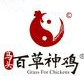 百草神鸡