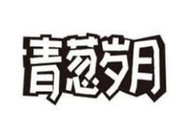 青葱岁月蛋糕店
