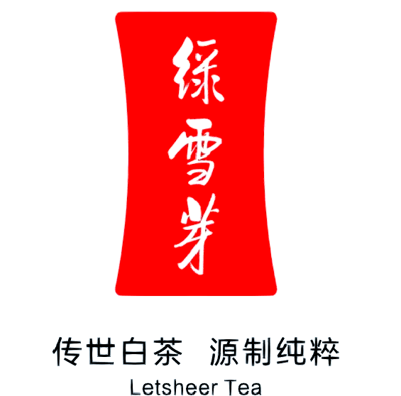 绿雪芽福鼎白茶