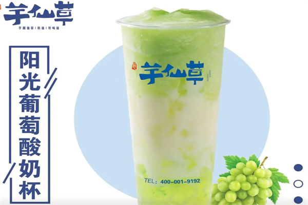 芋仙草