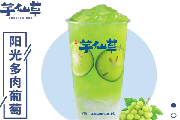 芋仙草
