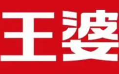 王婆煲仔饭品牌logo