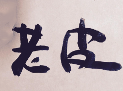 老皮煲仔饭