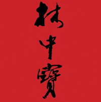 林中宝煲仔饭