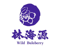 林海源蓝莓果汁