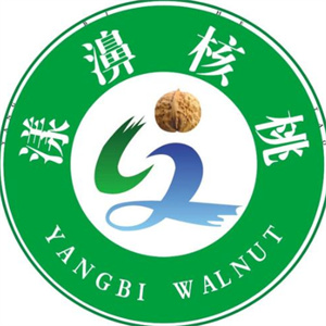 漾濞核桃乳