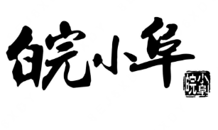 皖小阜广式煲仔饭