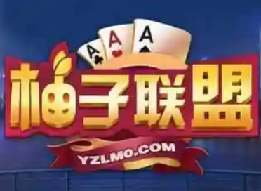 柚子联盟游戏