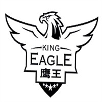 鹰王文具