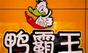 鸭霸王