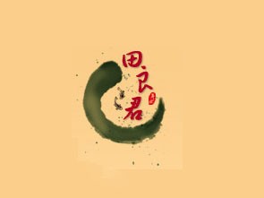 田良君炒货品牌logo