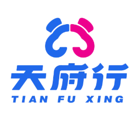 天府行网约车