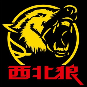 西北狼烧烤