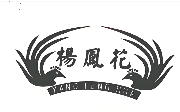 杨凤花