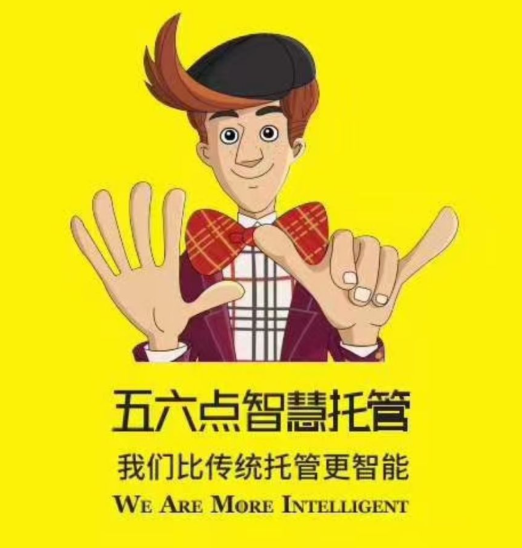 五六点智慧托管