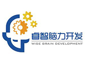睿智脑力开发
