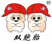 双胞胎生猪养殖