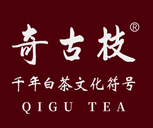奇古枝白茶