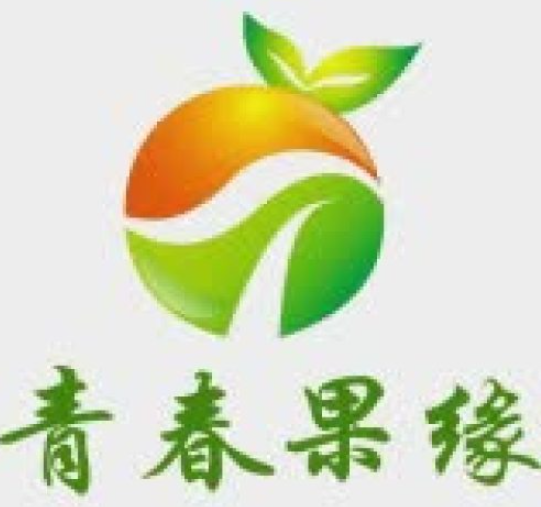 青春果缘