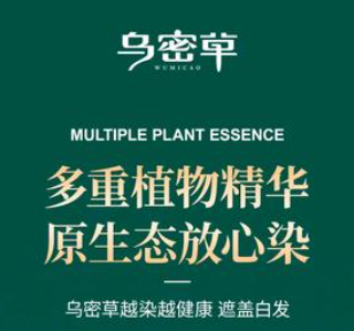 乌密草植物染发