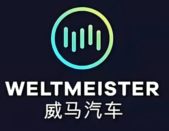威马新能源汽车