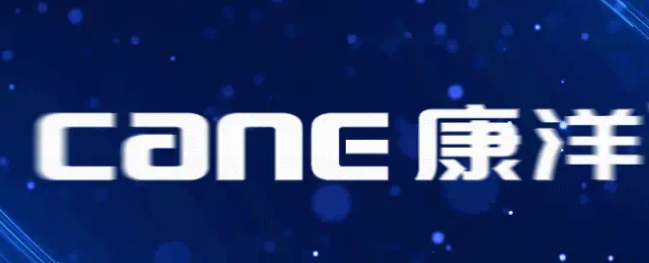 康洋电池