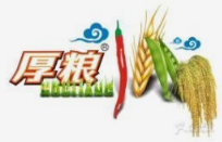 厚粮牛肉面