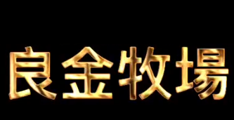 良金牧场牛肉面