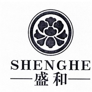 盛和生炝烩面品牌logo