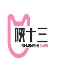 陕十三冰淇淋品牌logo