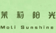 茉莉阳光烘培