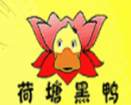 荷塘黑鸭